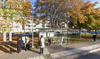Hammarskogen