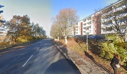 Vasavagen